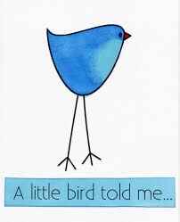 idiom little bird