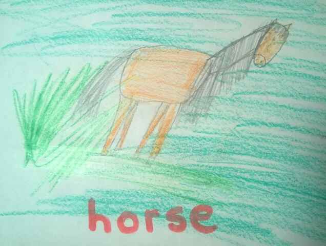 horse